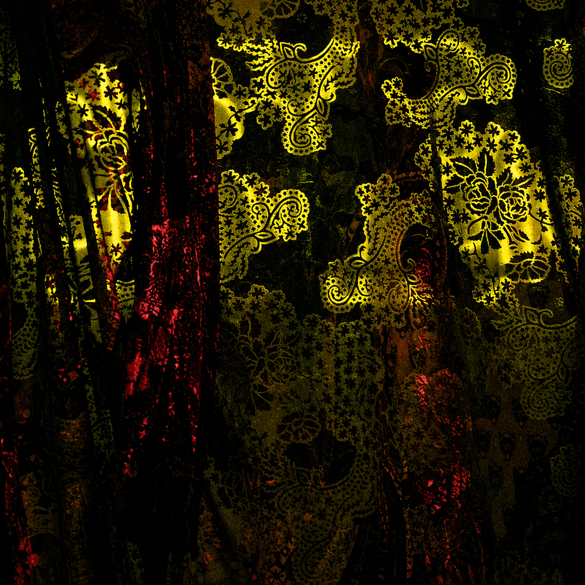 Hold it to the light.